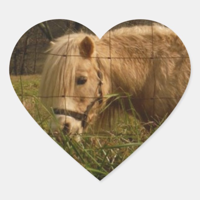 Blonde Miniature Pony / Horse Heart Sticker (Front)