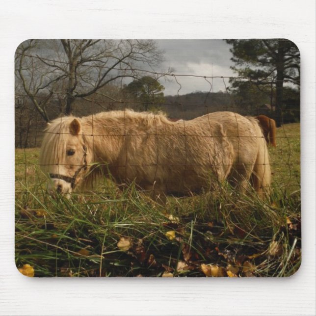 Blonde Miniature Pony / Horse Mouse Pad (Front)