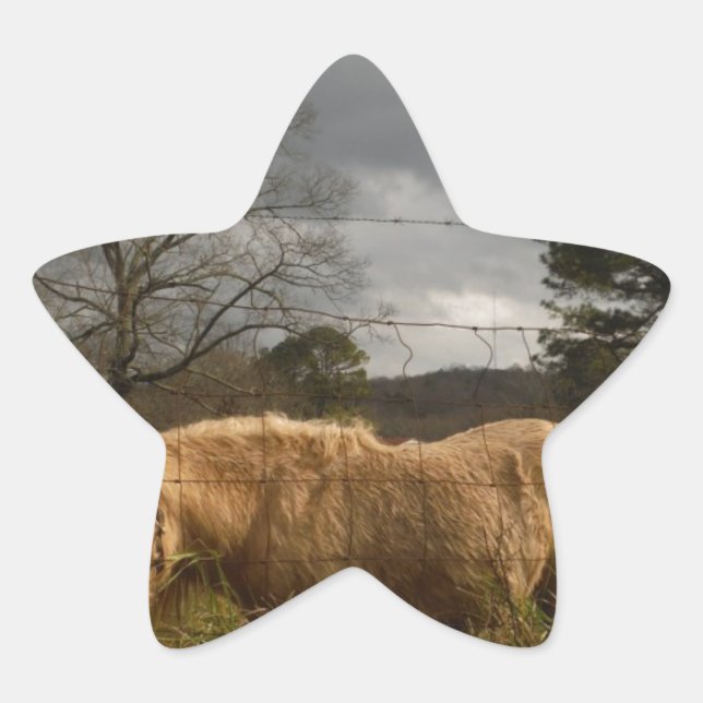 Blonde Miniature Pony / Horse Star Sticker (Front)