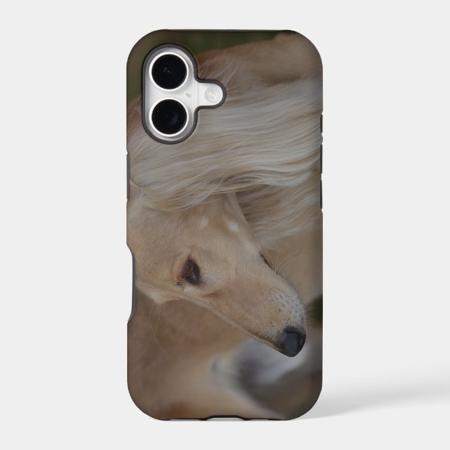 Blonde Saluki (Back)