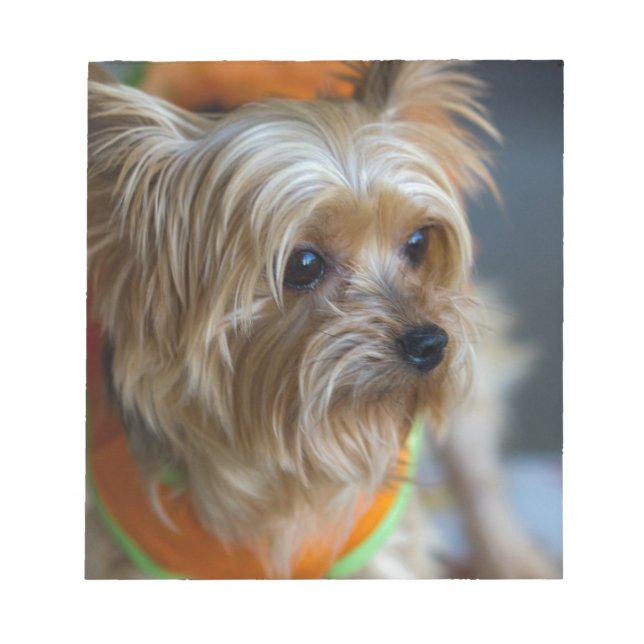 Blonde Yorkshire Terrier Notepad (Front)