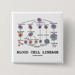 Blood Cell Lineage (Biology Health Medicine) 2 Inch Square Button