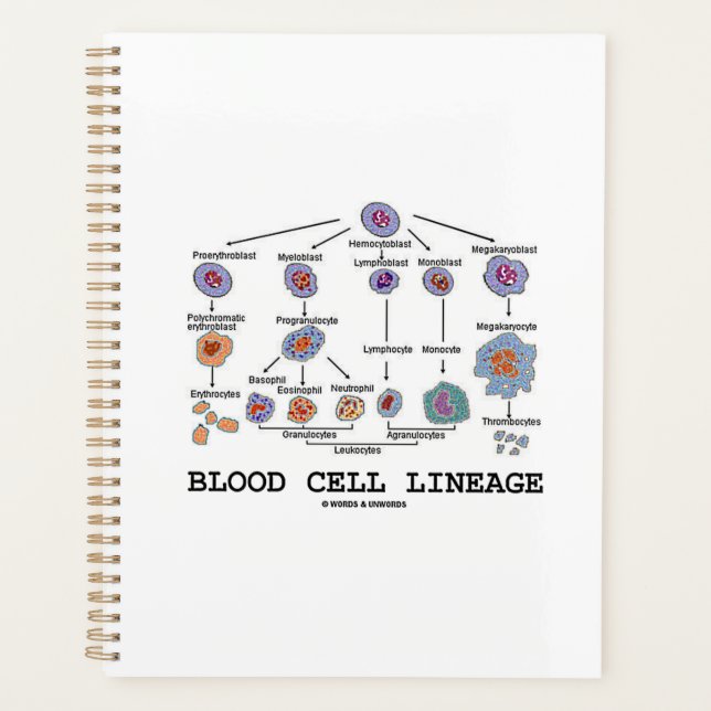 Blood Cell Lineage Biology Health Medicine Planner (Front)
