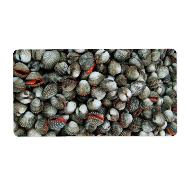 Blood Cockle Shells (Front)