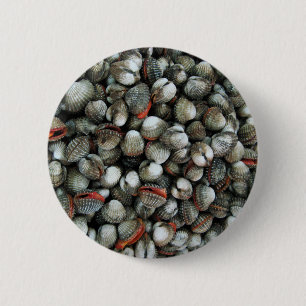 Blood Cockle Shells 2 Inch Round Button