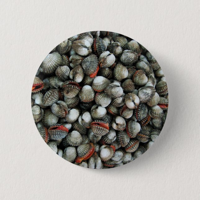 Blood Cockle Shells 2 Inch Round Button (Front)