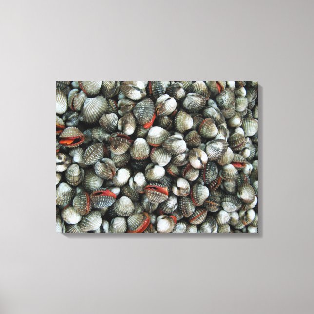 Blood Cockle Shells Canvas Print (Front)