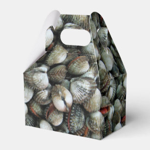Blood Cockle Shells Favor Box