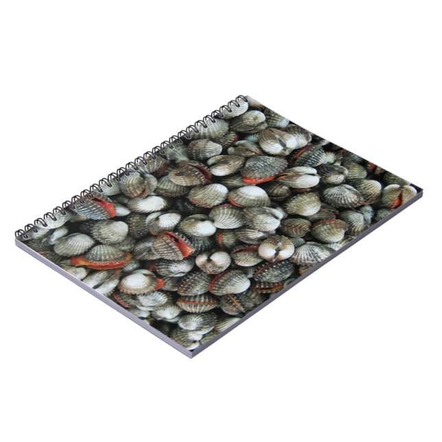 Blood Cockle Shells Notebook (Left Side)