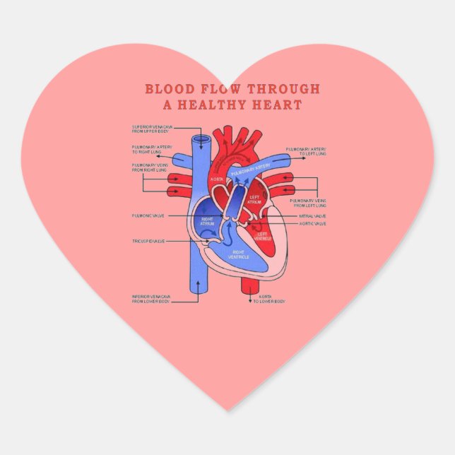 BLOOD FLOW HEART STICKER (Front)