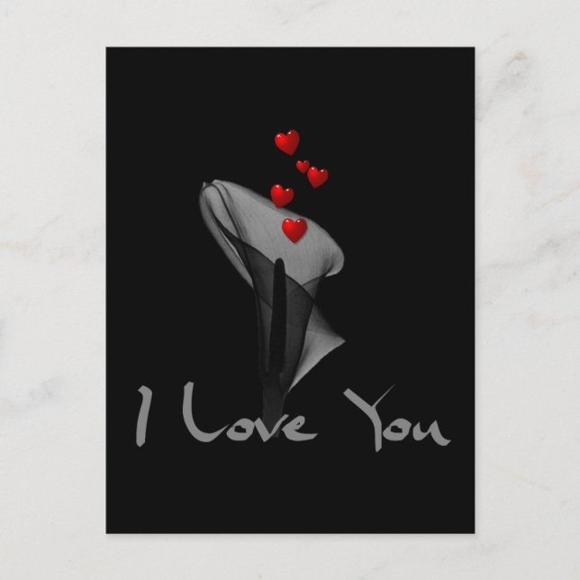 Blood Lily Postcard (Front)