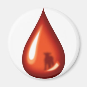 Blood of the Lamb- Jesus Magnet