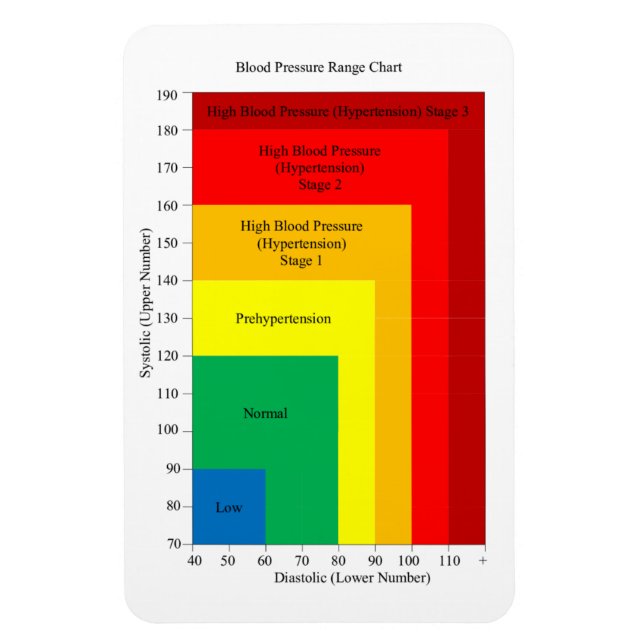 Blood pressure chart magnet (Vertical)