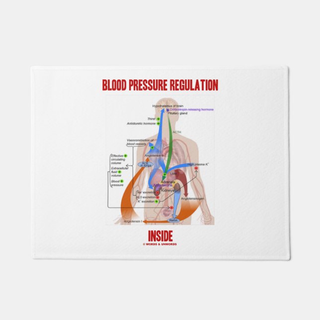 Blood Pressure Regulation Inside Anatomical Doormat (Front)