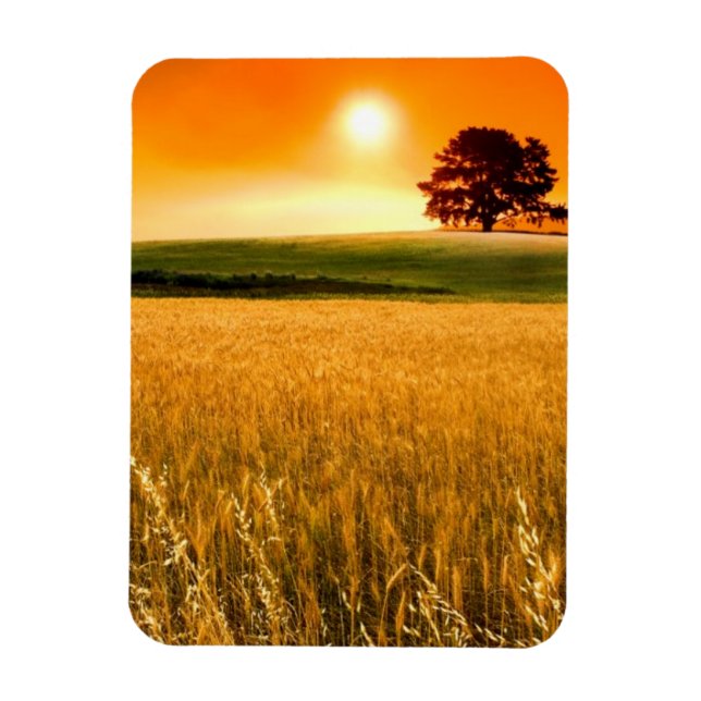 Blood-Red Sunset Magnet (Vertical)