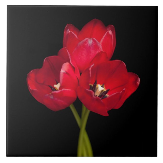 Blood Red Tulips on Black Background Customized Tile (Front)