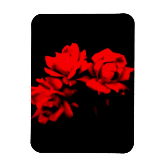 Blood roses in the dark magnet (Vertical)