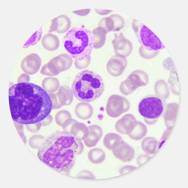 blood smear sticker (Front)