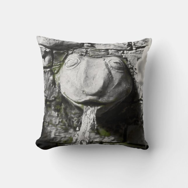 Blood Tea and Red String Frog Fountain Pillow (Front)
