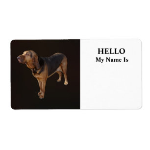 Bloodhound