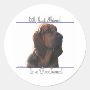 Bloodhound Best Friend; Bloodhound gifts;  Classic Round Sticker
