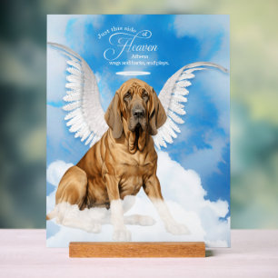 Bloodhound Chien Angel avec le nom Pet Memorial