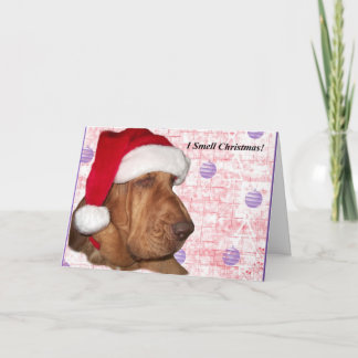 Bloodhound Christmas Card