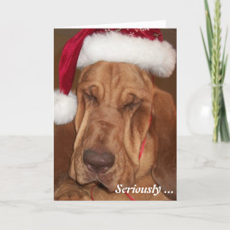 Bloodhound Christmas Card