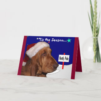 Bloodhound Christmas Card