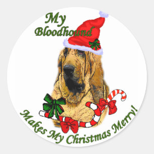 Bloodhound Christmas Gifts Classic Round Sticker
