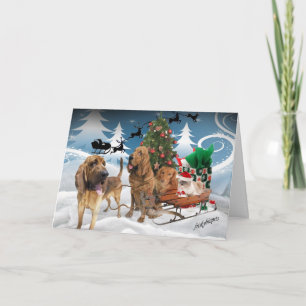 Bloodhound Christmas Night Holiday Card