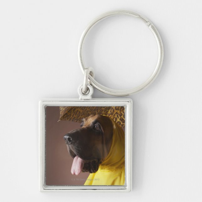 Bloodhound dog. keychain (Front)