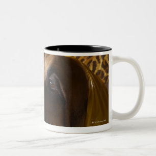 Bloodhound dog. Two-Tone coffee mug