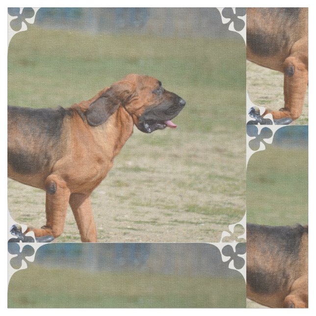 Bloodhound Fabric (Close Up)