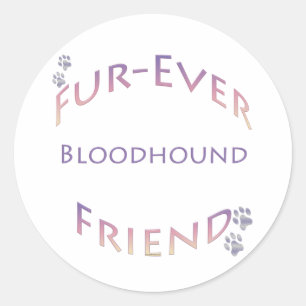 Bloodhound Furever Classic Round Sticker