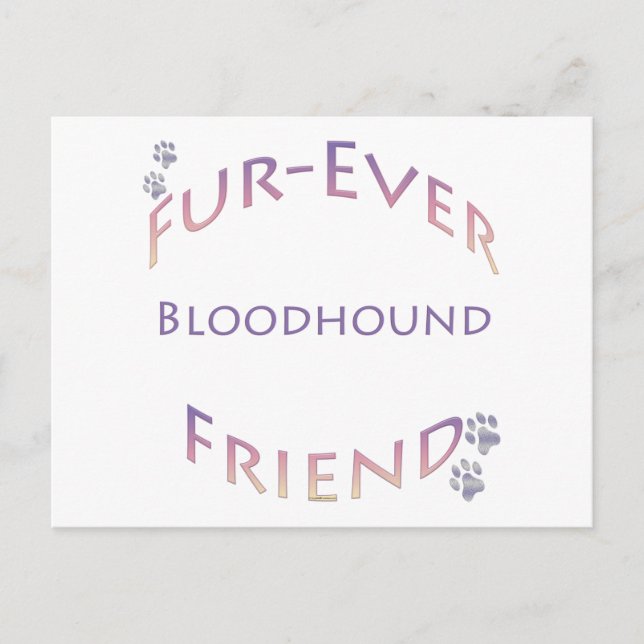 Bloodhound Furever Postcard (Front)