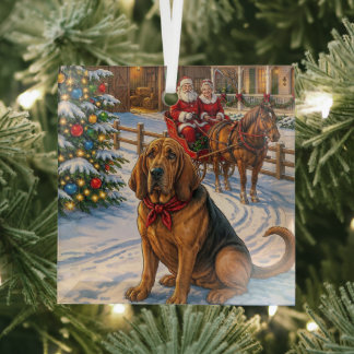 Bloodhound Holiday  Glass Ornament