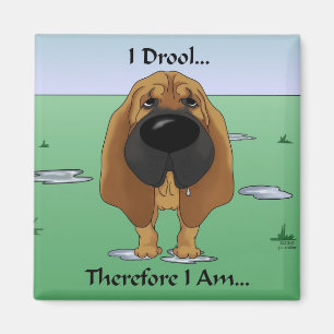 Bloodhound - I Drool...Therefore I Am.. Magnet
