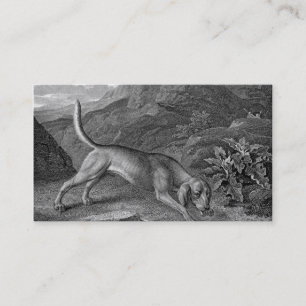Bloodhound in Black and White Business Card