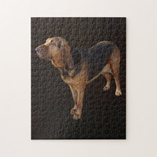 Bloodhound Jigsaw Puzzle