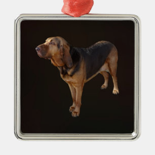 Bloodhound Metal Ornament