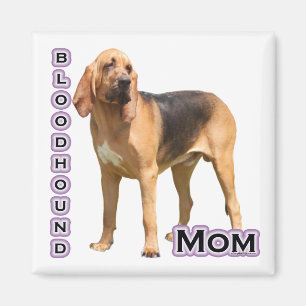 Bloodhound Mom 4 - Magnet