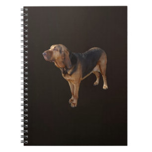 Bloodhound Notebook