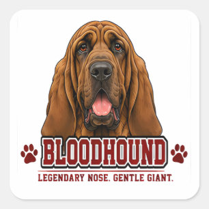 🐾 Bloodhound Owner Family Pride 🐾 Square Sticker