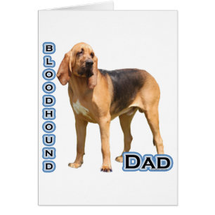 Bloodhound Papa 4
