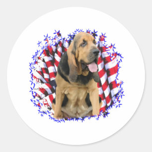Bloodhound Patriot Classic Round Sticker
