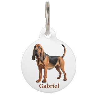 Bloodhound Personalize Pet Tag