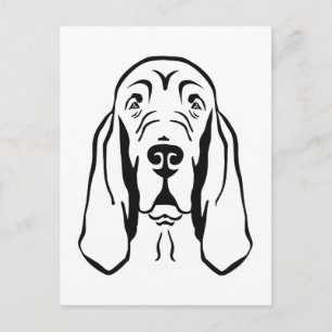 Bloodhound Postcard