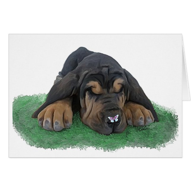 bloodhound puppy (Front Horizontal)