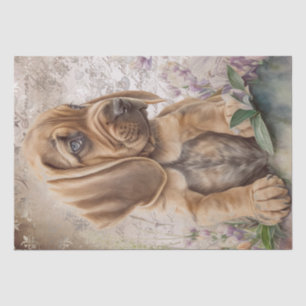 Bloodhound Puppy Dog Tissue Paper